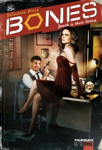 Кости 8 сезон / Bones