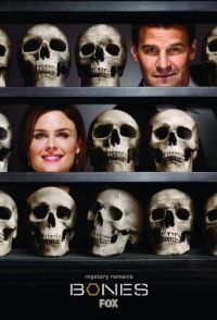 Кости 4 сезон / Bones