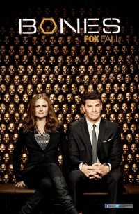 Кости 9 сезон / Bones