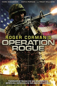 Операция «Возмездие» / Operation Rogue